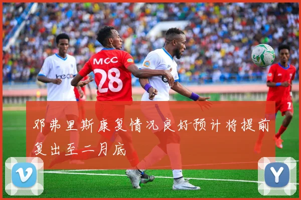 邓弗里斯康复情况良好预计将提前复出至二月底