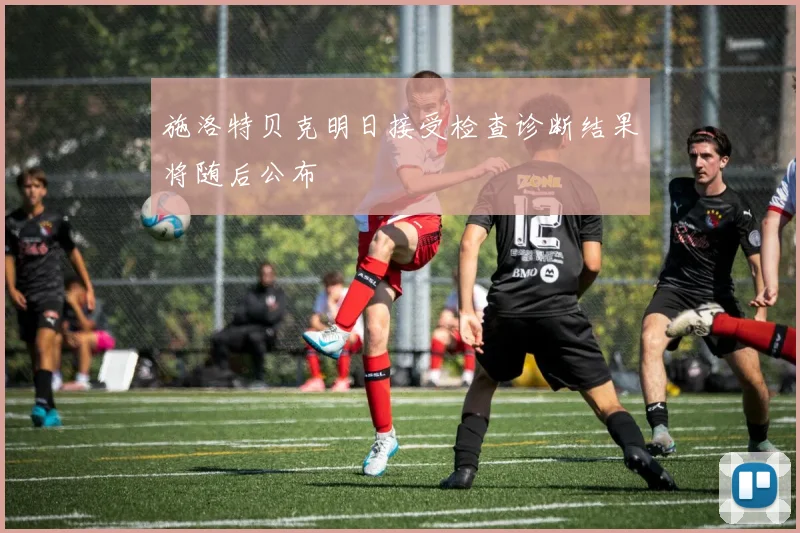 施洛特贝克明日接受检查诊断结果将随后公布