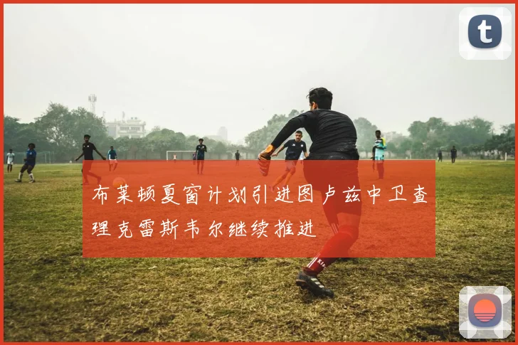 布莱顿夏窗计划引进图卢兹中卫查理克雷斯韦尔继续推进