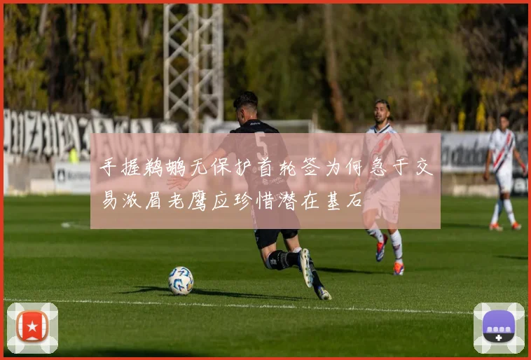 手握鹈鹕无保护首轮签为何急于交易浓眉老鹰应珍惜潜在基石