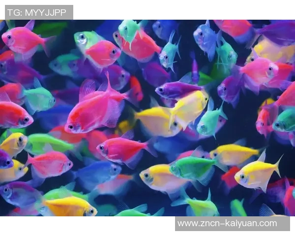 今日趣图：探讨鱼缸中的咸水鱼与淡水鱼共存的可能性与挑战